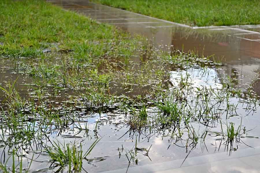 Surface water flooding in a garden